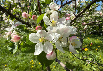 Po příjemném jarním počasí nastane zvrat