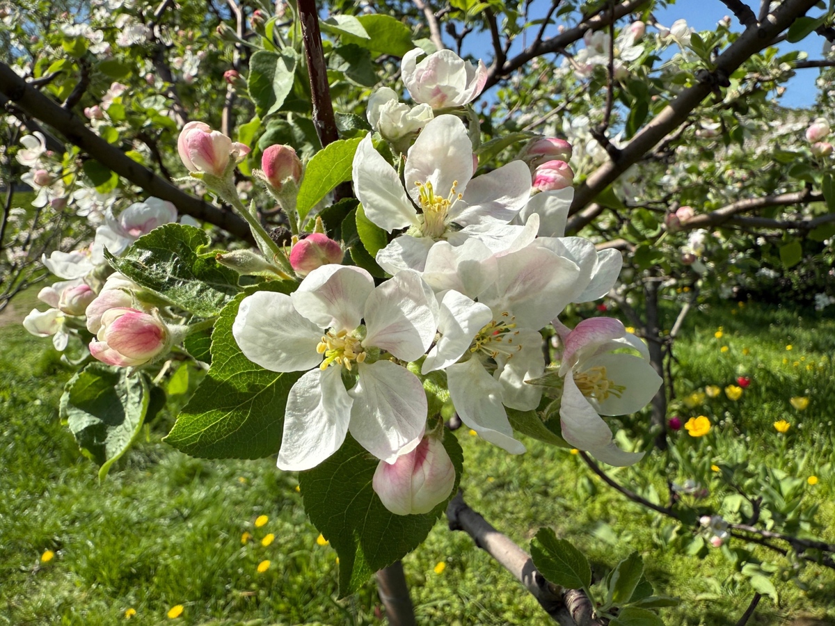 Po příjemném jarním počasí nastane zvrat