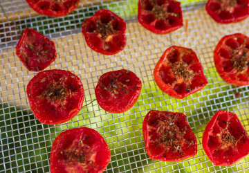 Se solární sušičkou si připravíte různé pochutiny