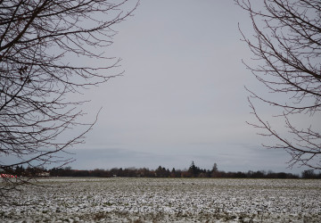 O víkendu nás čeká mírná změna počasí.