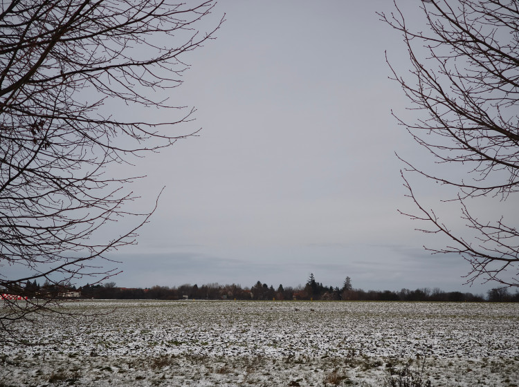 O víkendu nás čeká mírná změna počasí.