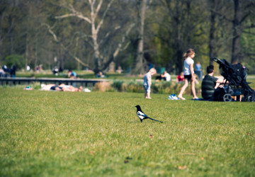 Meteorologové už tuší, kdy do Česka vpadnou první tropická vedra