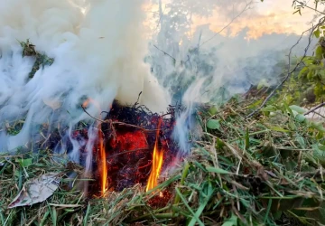 Přesně takhle vypadá zakázaná likvidace bioodpadu ohněm Přesně takhle vypadá zakázaná likvidace bioodpadu ohněm