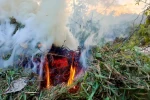 Přesně takhle vypadá zakázaná likvidace bioodpadu ohněm Přesně takhle vypadá zakázaná likvidace bioodpadu ohněm