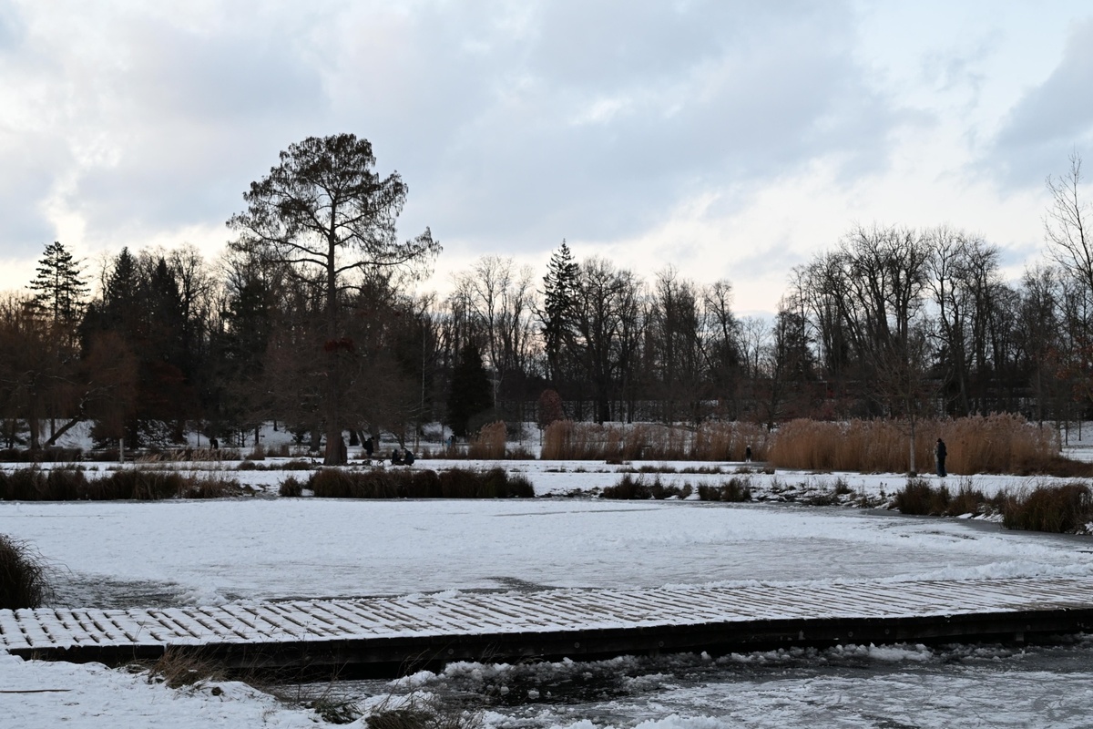 Česko zasáhne mráz až -12 °C a hrozí ledová kalamita Česko zasáhne mráz až -12 °C a hrozí ledová kalamita