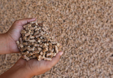 Dřevěné pelety válcuje nový typ paliva