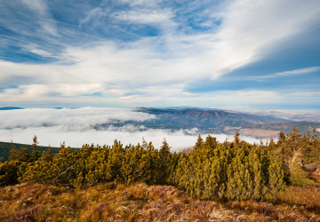 Předpověď počasí doznala výrazných změn. Předpověď počasí doznala výrazných změn.
