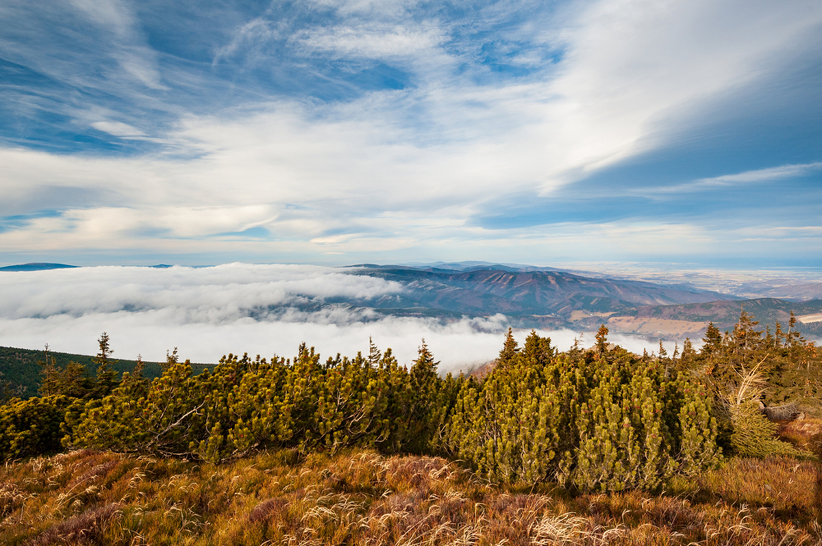 Předpověď počasí doznala výrazných změn. Předpověď počasí doznala výrazných změn.
