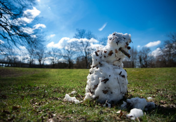 Obleva letos přijde nečekaně brzy. Obleva letos přijde nečekaně brzy.
