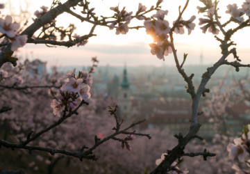 Jak vypadá počasí na květnový prodloužený víkend? Jak vypadá počasí na květnový prodloužený víkend?