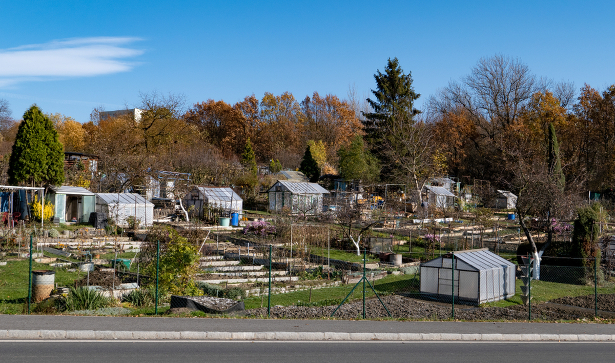 Zahrádkářům nově hrozí nemalá pokuta. 