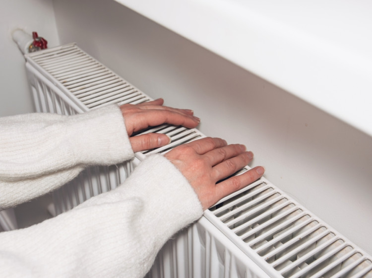 Než přijdou první mrazy, je vhodné učinit určitá opatření. 