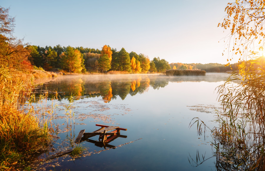 Krásná podzimní krajina potěší oko v jakémkoli počasí.
