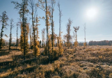 Extrémní teploty z konce června se opakovat nebudou, ale přesto nás čekají vedra