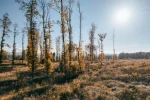 Extrémní teploty z konce června se opakovat nebudou, ale přesto nás čekají vedra
