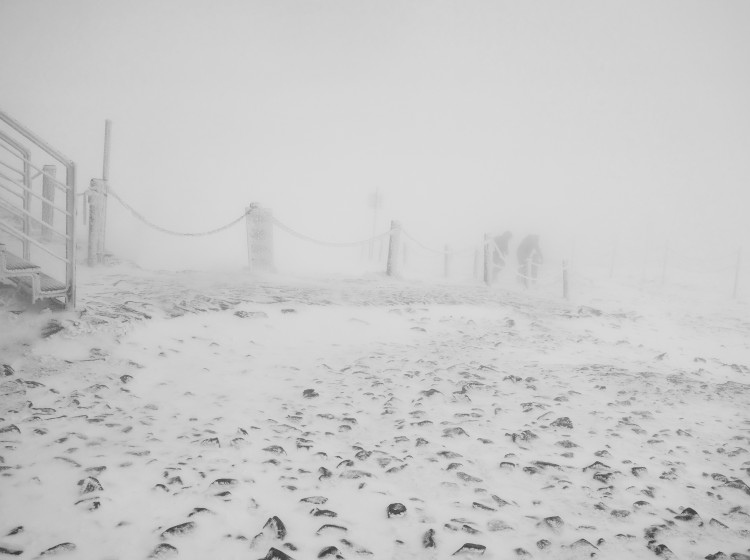 Aktualizovaná předpověď na konec roku