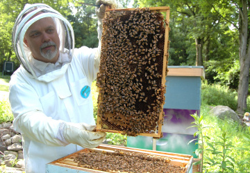 Včelař při práci ve včelstvu