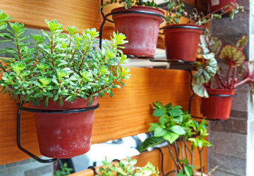 Vyrobte si vlastní vertikální zahradu na balkoně