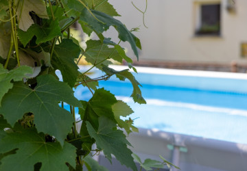 Koupací sezona se blíží. 