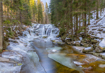 Mezi svátky by měly přijít mrazy, ale sníh není zaručen. 