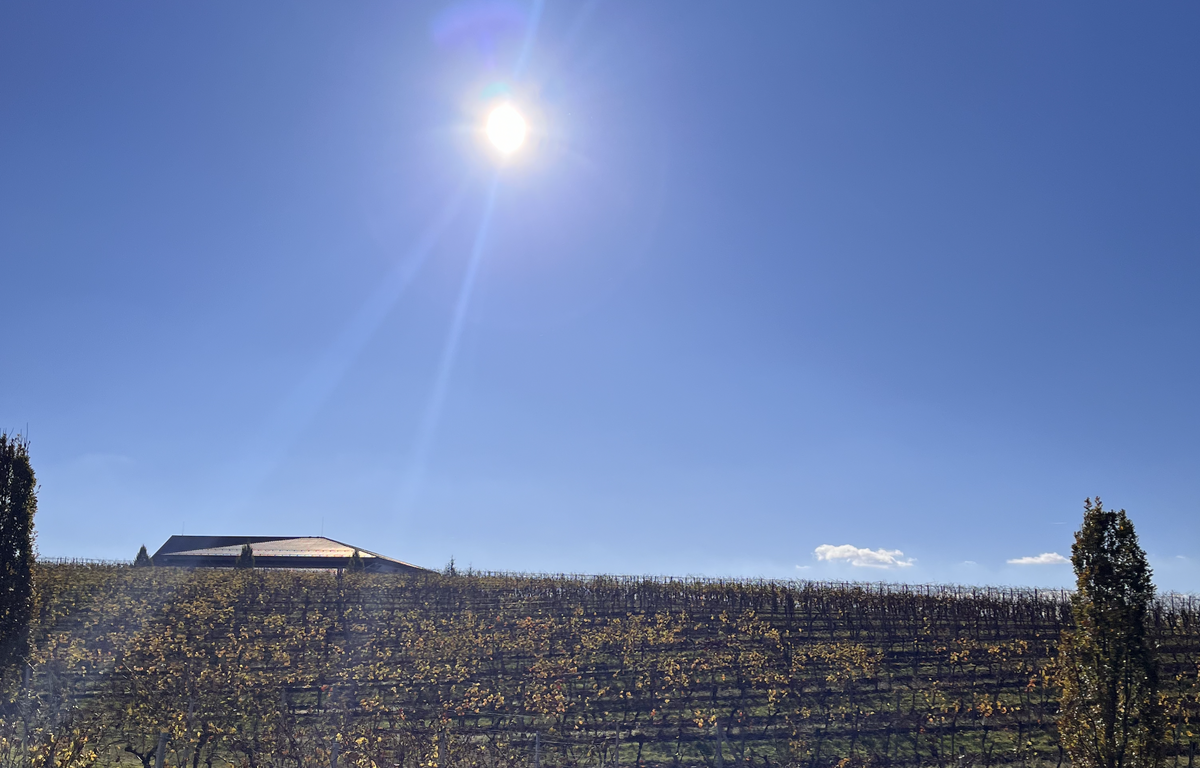 Začátek jara bude provázet počasí, které vás možná vykolejí