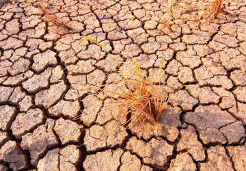 Vzácný meteorologický jev může vyhnat teplotu na Zemi do extrémních hodnot