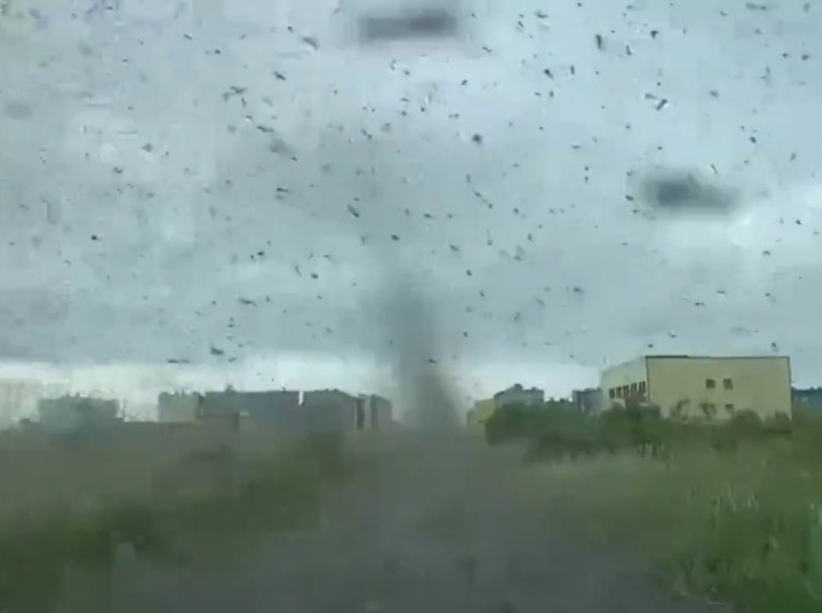Invazivní druh komára se rozšiřuje na evropská území.