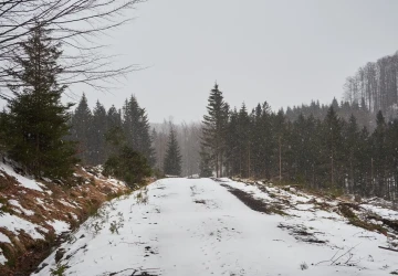 V pátek má v Česku sněžit