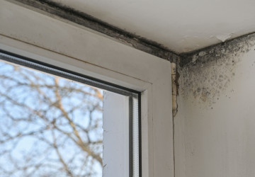Plísně se mohou tvořit i v moderních novostavbách. 