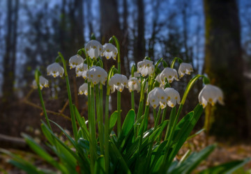 V březnu by mohlo nastat prudké ochlazení