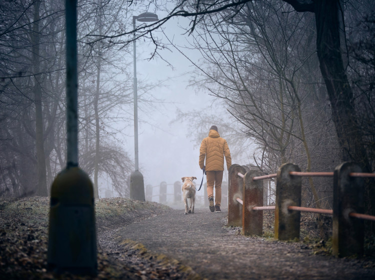 Meteorologové vydali pošmournou předpověď Meteorologové vydali pošmournou předpověď