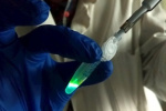 Laboratorní využití enzymu luciferázy k vytváření umělého světla