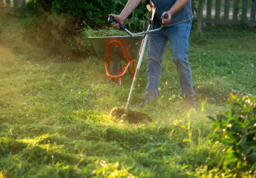 I levné aku přístroje mohou na běžnou údržbu zahrady skvěle posloužit. I levné aku přístroje mohou na běžnou údržbu zahrady skvěle posloužit.