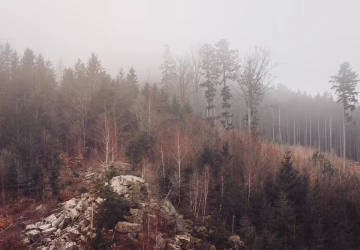 Meteorologové přišli s předpovědí, která Čechům udělá čáru přes rozpočet Meteorologové přišli s předpovědí, která Čechům udělá čáru přes rozpočet