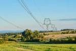 Někteří dodavatelé přišli s velmi zajímavými nabídkami. Někteří dodavatelé přišli s velmi zajímavými nabídkami.
