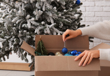 Zapomeňte na řetězy a koule na vánočním stromečku. 