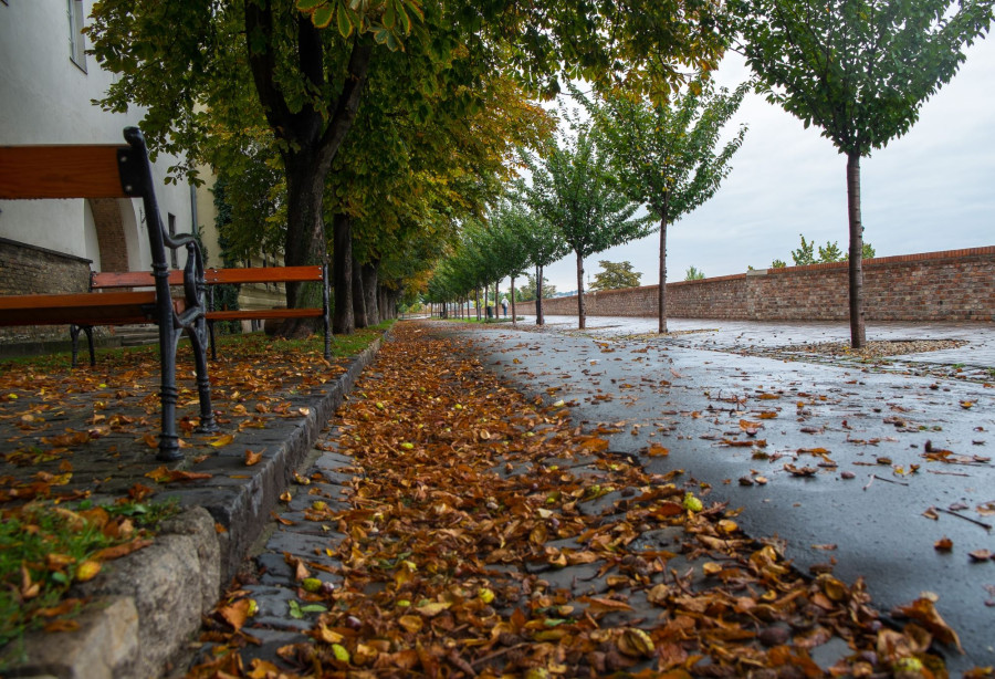 Tento týden bude počasí proměnlivé a v každém koutu Česka jiné