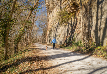 Psa si vždy vybírejte podle životního stylu Psa si vždy vybírejte podle životního stylu