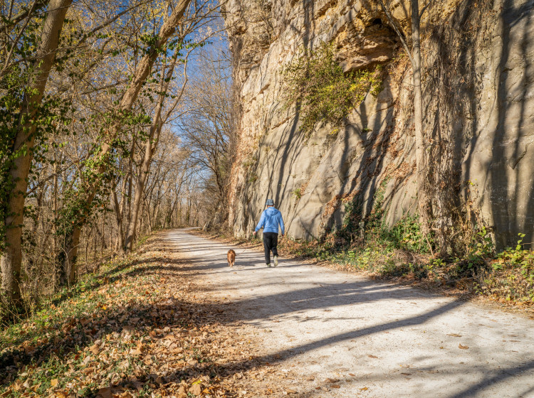 Psa si vždy vybírejte podle životního stylu Psa si vždy vybírejte podle životního stylu