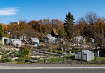 Obce drží tisíce zahrádkářů v kleštích
