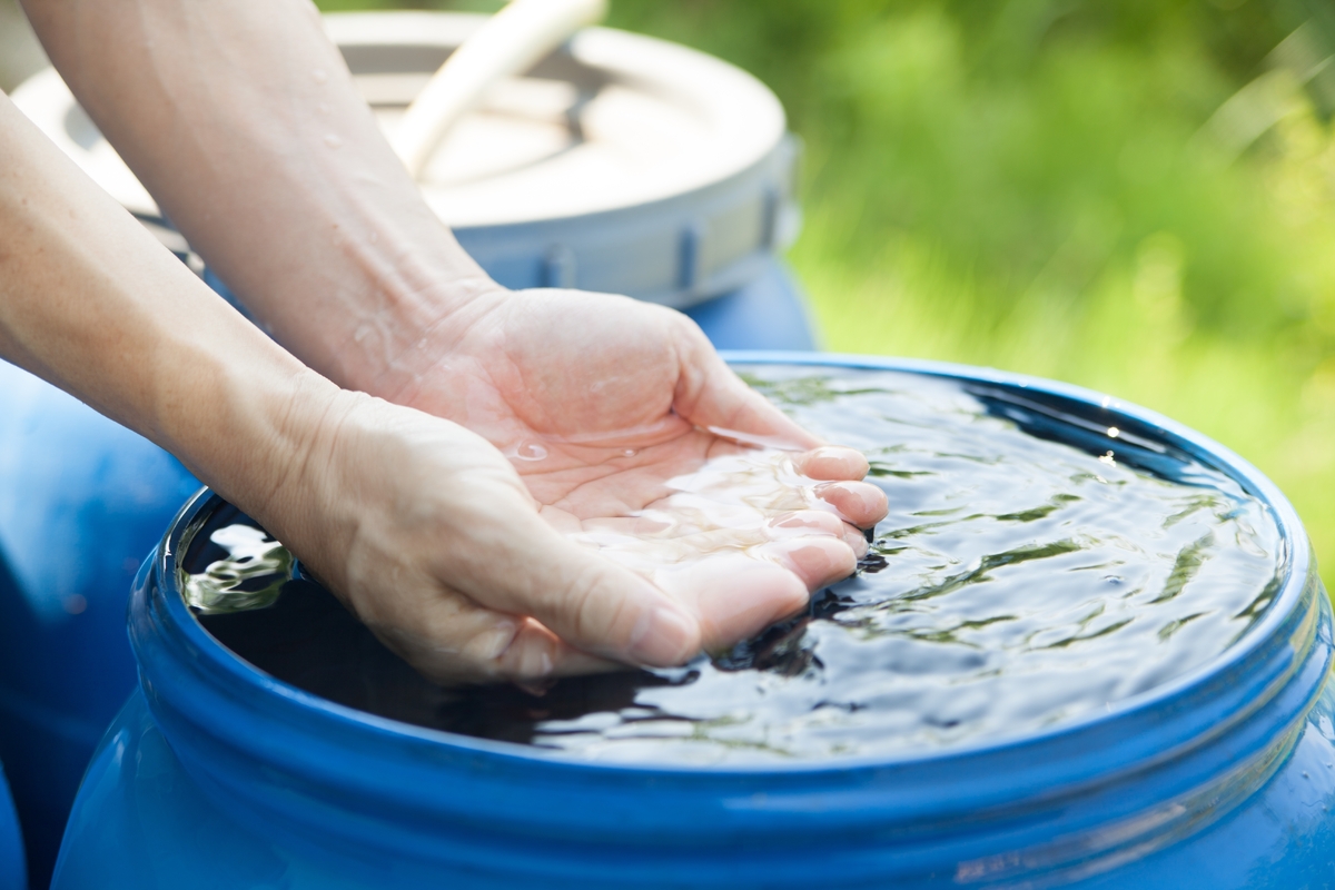 Kdo zná tenhle trik s dešťovou vodou, ušetří tisíce Kdo zná tenhle trik s dešťovou vodou, ušetří tisíce
