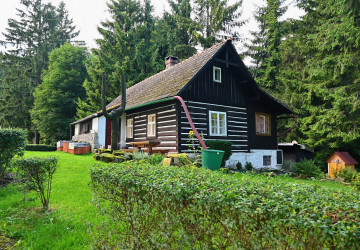 Vášeň Čechů se stává skvělým způsobem, jak si přivydělat