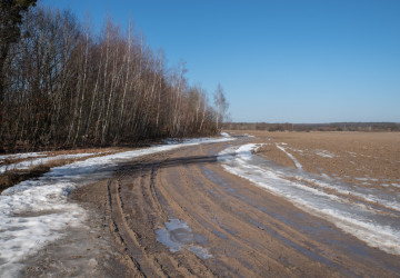 Teploty tento týden klesnou pod nulu a má napadnout i sníh