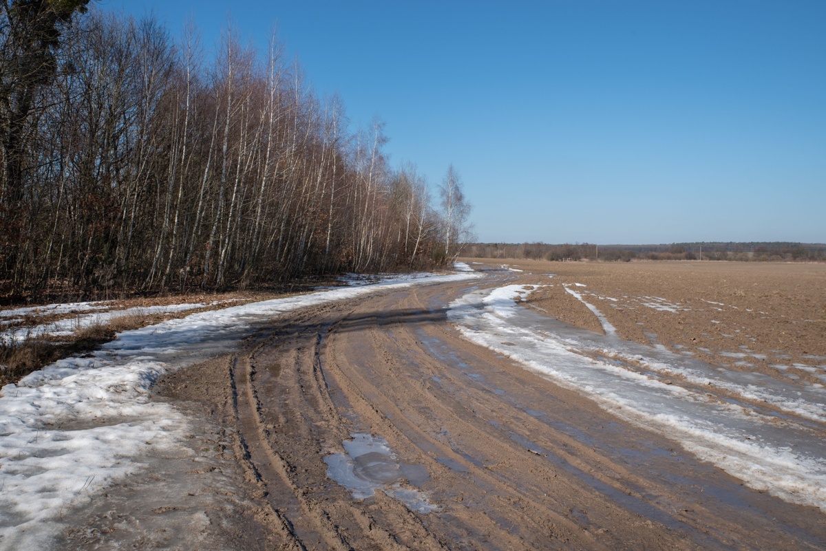 Teploty tento týden klesnou pod nulu a má napadnout i sníh