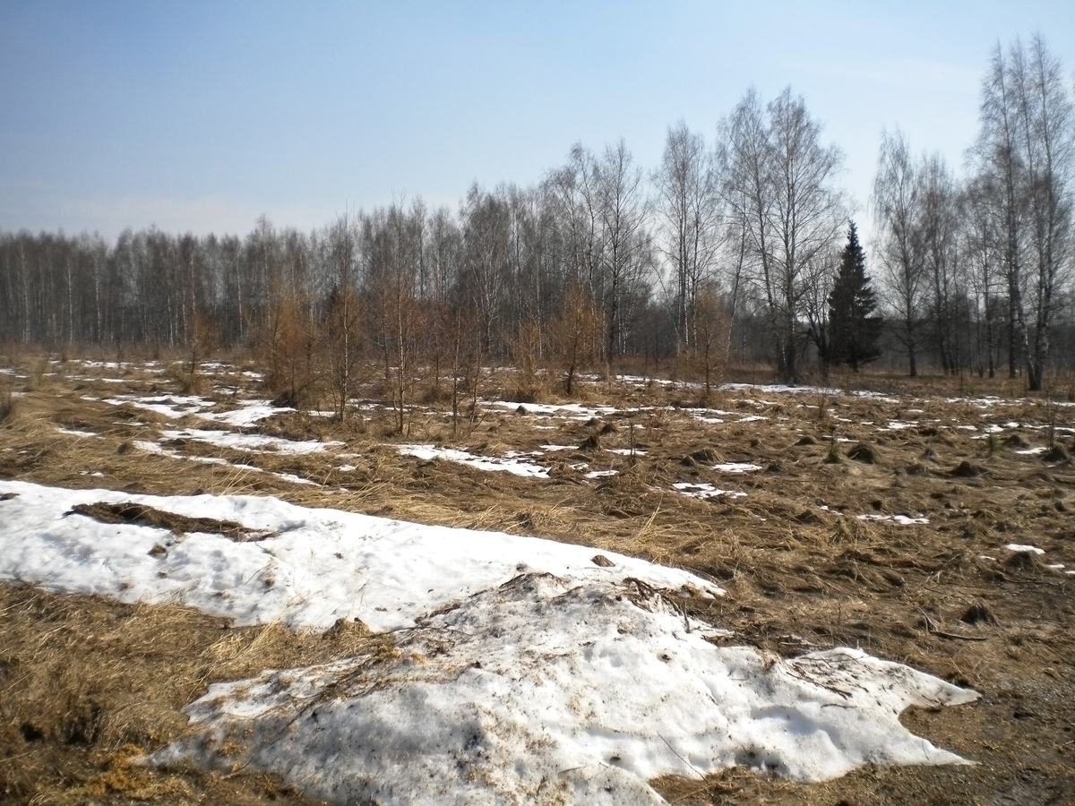 Nejen horské oblasti potká obleva.