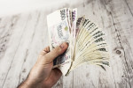 Některé domácnosti mohou v rámci NZÚ získat až 400 tisíc korun