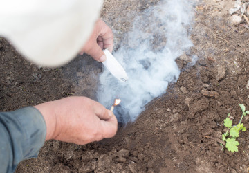 Nešikovný zahradník chtěl vykouřit krtka. Místo toho vykouřil sousedy Nešikovný zahradník chtěl vykouřit krtka. Místo toho vykouřil sousedy