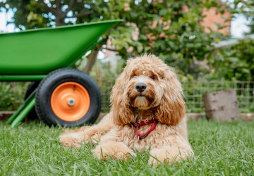 Dejte si pozor na některé typy hnojiv
