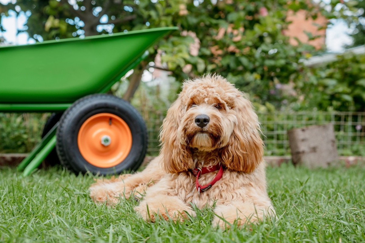 Dejte si pozor na některé typy hnojiv