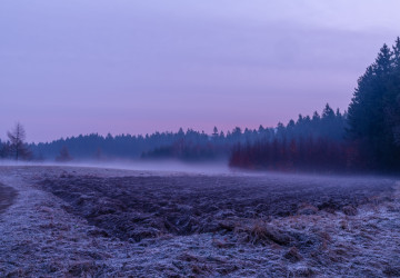 Česko zasáhne několik kritických dnů v řadě Česko zasáhne několik kritických dnů v řadě
